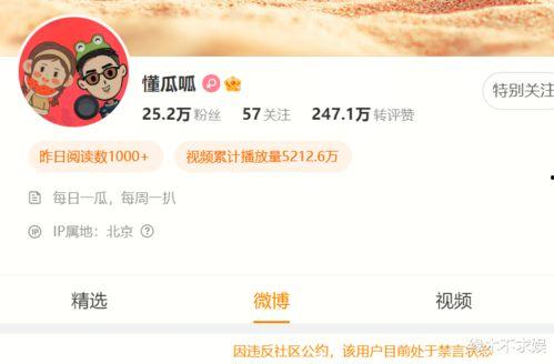 国产精品400部,光影岁月里的经典回眸